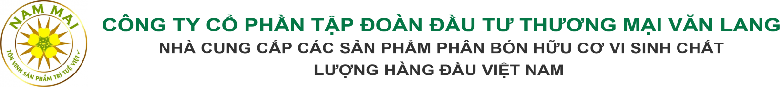 Logo Công ty