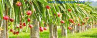 Đối tác của Văn Lang Organic - 2