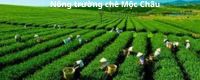 Đối tác của Văn Lang Organic - 3