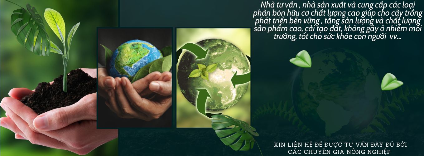 Văn Lang Organic là công ty chuyên sản xuất các loại sản phẩm đất trồng, phân bón và giá thể… - Ảnh slide 14