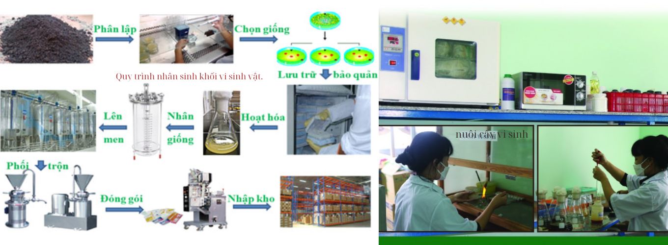 Văn Lang Organic là công ty chuyên sản xuất các loại sản phẩm đất trồng, phân bón và giá thể… - Ảnh slide 19